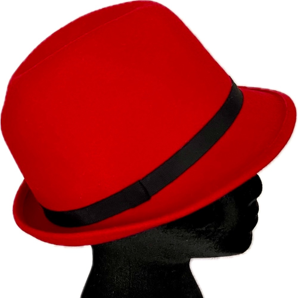 ππππ Small Brim Fedora